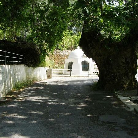 Elaia Resorts Perama (Corfu) Exterior foto