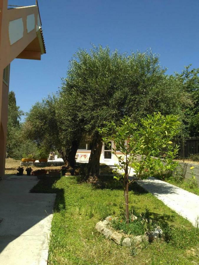 Elaia Resorts Perama (Corfu) Exterior foto